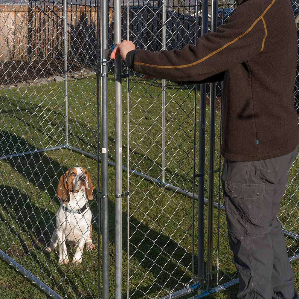 Lucky Dog® Chain-Link Kennel - 5' x 10' - Image 5